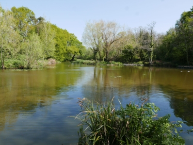 Sholing Valleys Study Centre