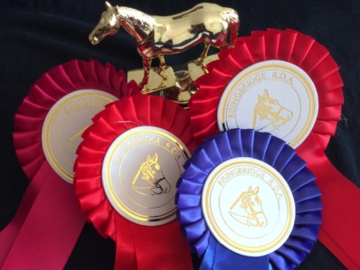 Risingbridge Riding for the Disabled