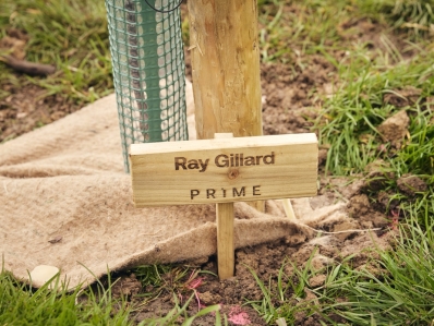 Prime plc - Developing space for change in health and care