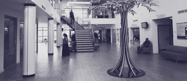 Enthusiasm alone won’t build Neighbourhood Health Centres