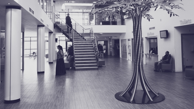 Enthusiasm alone won’t build Neighbourhood Health Centres