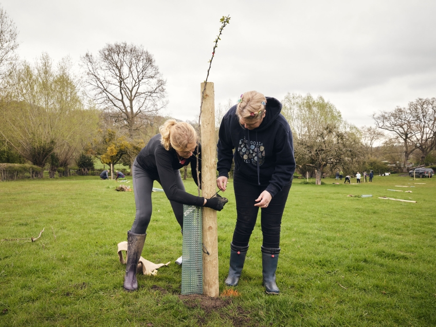 Designing for nature and net zero — Alfrick woodland approved